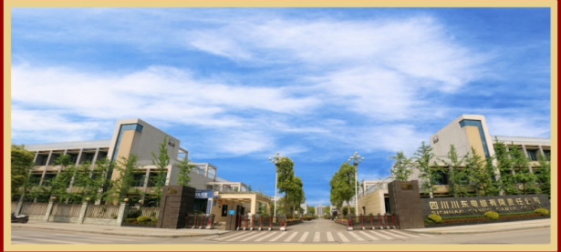 四川川东电缆有限责任公司