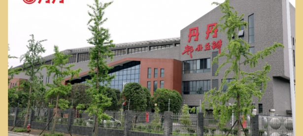 四川省丹丹郫县豆瓣集团股份有限公司