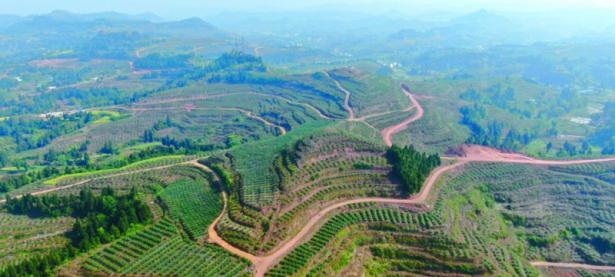 四川省玉润木泽农业科技有限公司